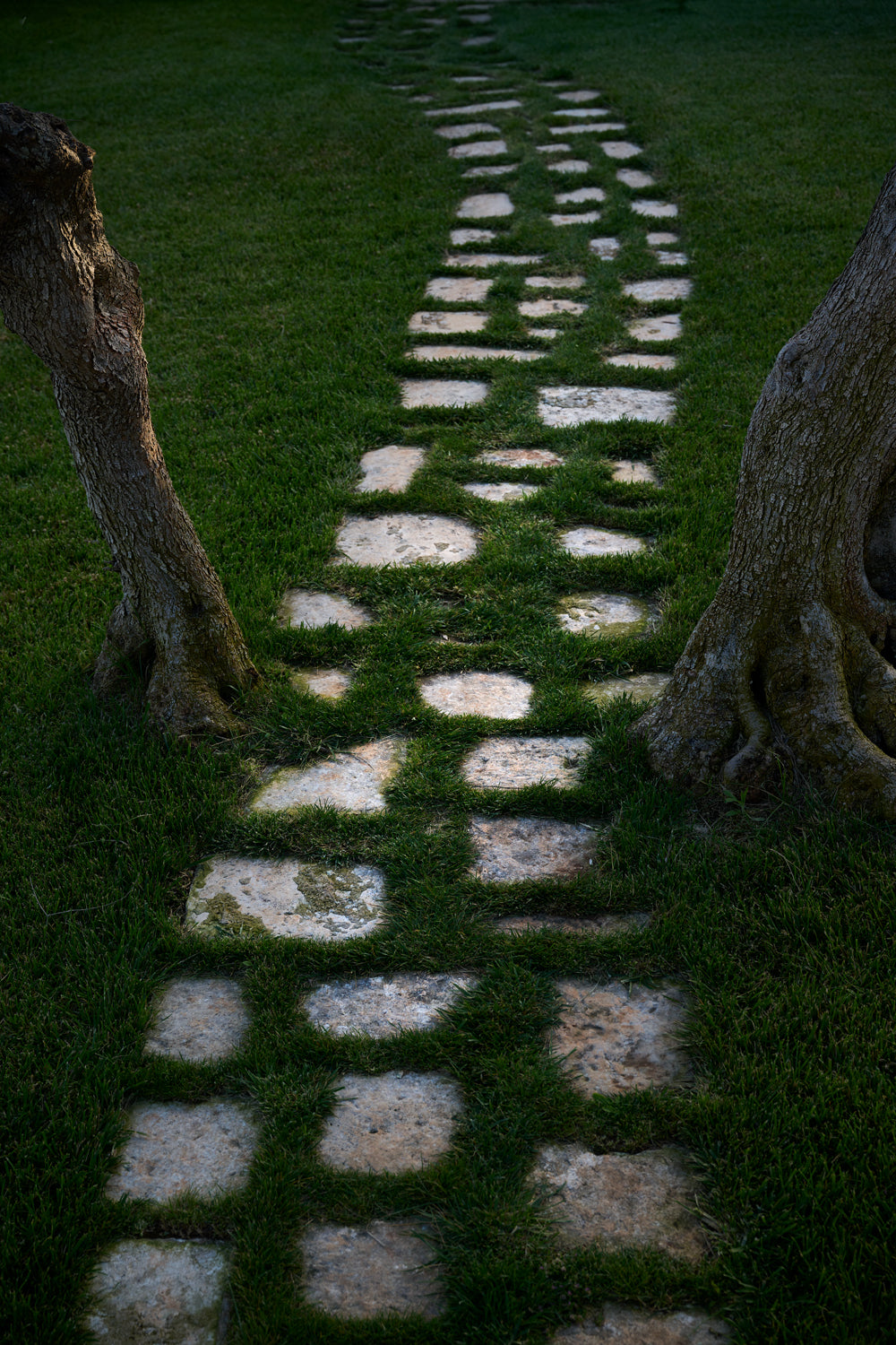 Percorso, Pulgia, Italia